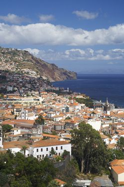Madeira szőlőültetvények és pincészetek nagyrészt sértetlenül